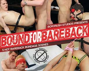 Great XXX DVD with five hot bareback bondage scenes featuring American twinks! Kinky Chris might be slight in build, but he knows how to totally dominate a willing pal.